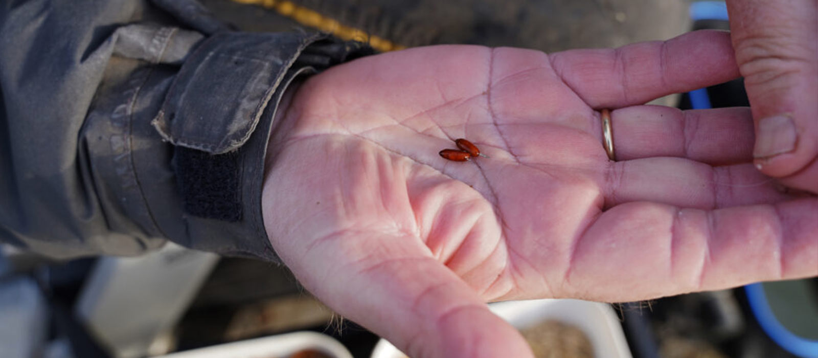 Mit Castern im Hafen angeln