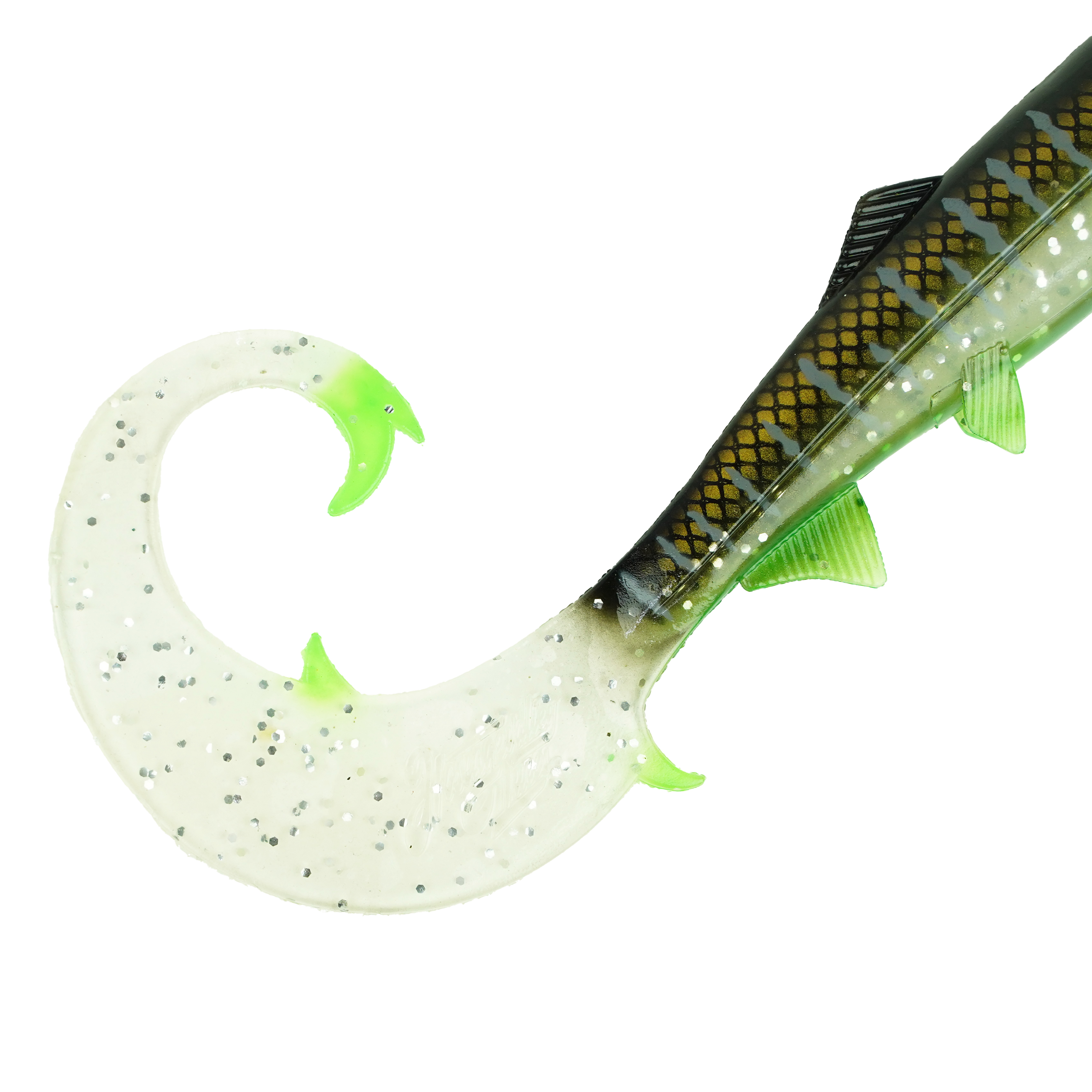 Hostagevalley Curlytail - Klarer Malawi - 18cm