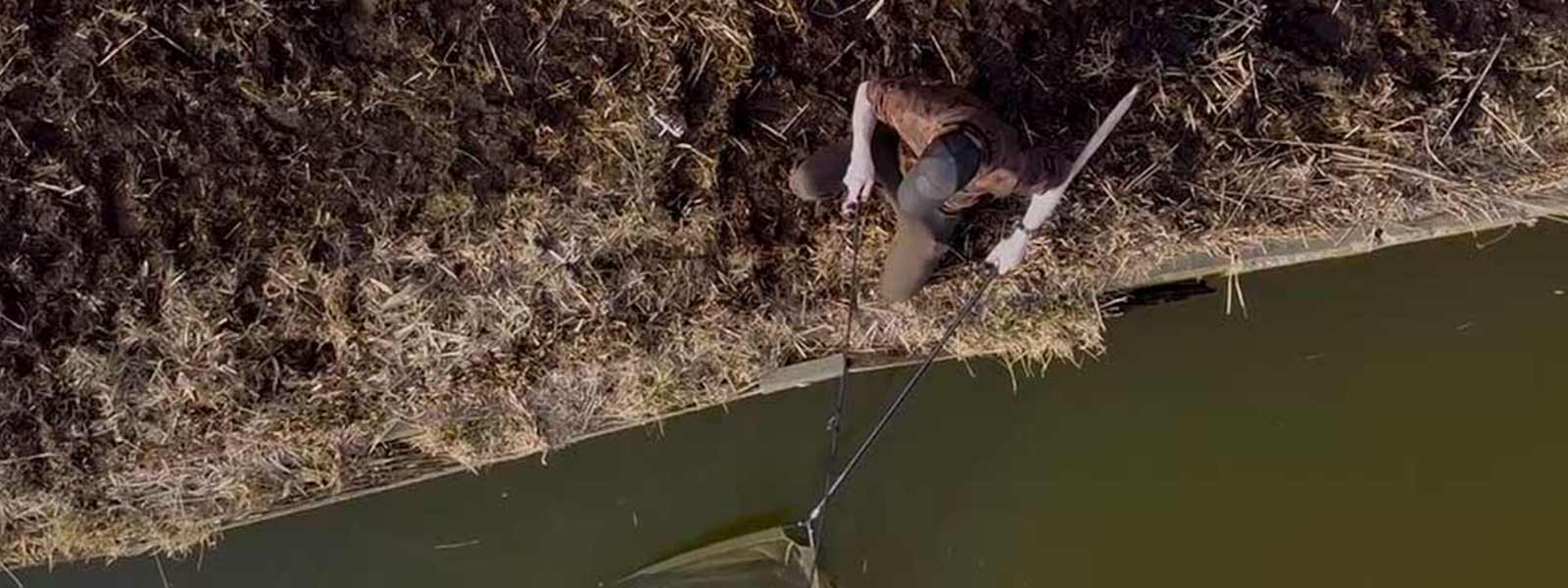 Fisch landen mit Kescher
