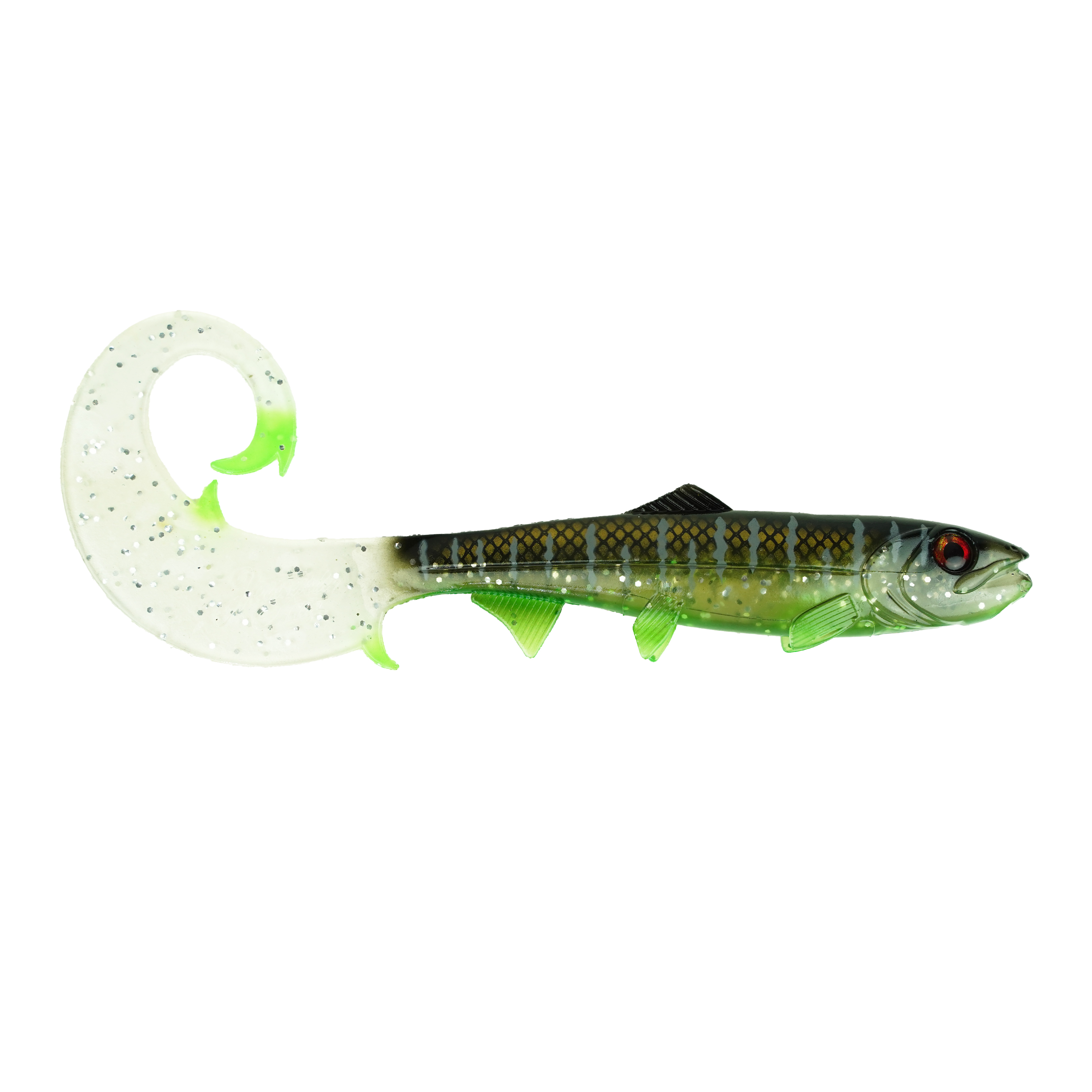 Hostagevalley Curlytail - Klarer Malawi - 18cm