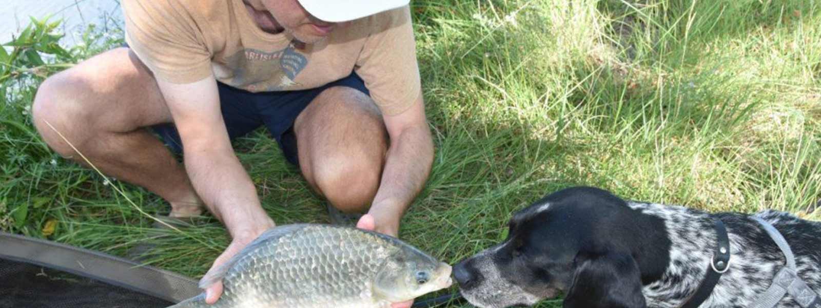 Ein Fang in Frankreich