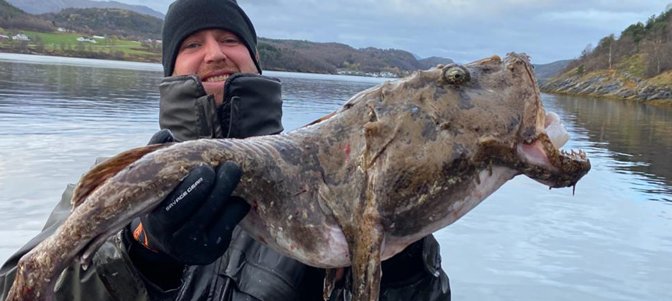 Saltstraumen Norwegen