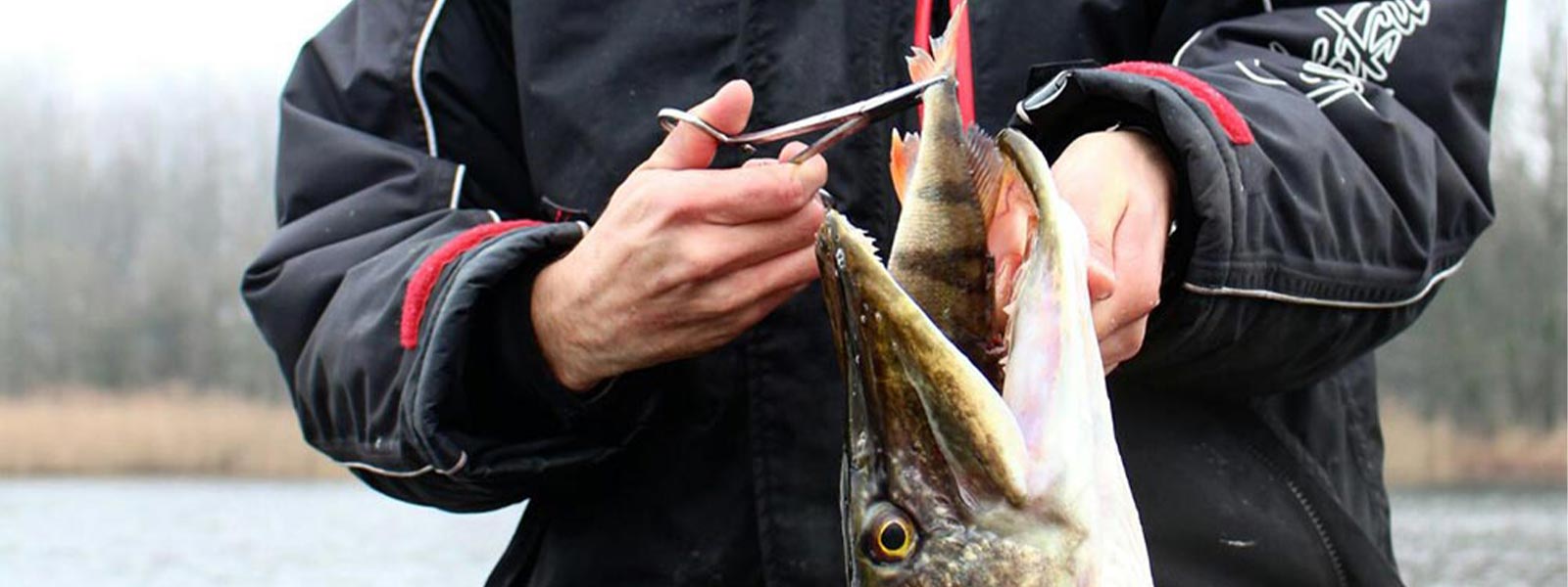 Beispiel Kiemengriff und Lösezange