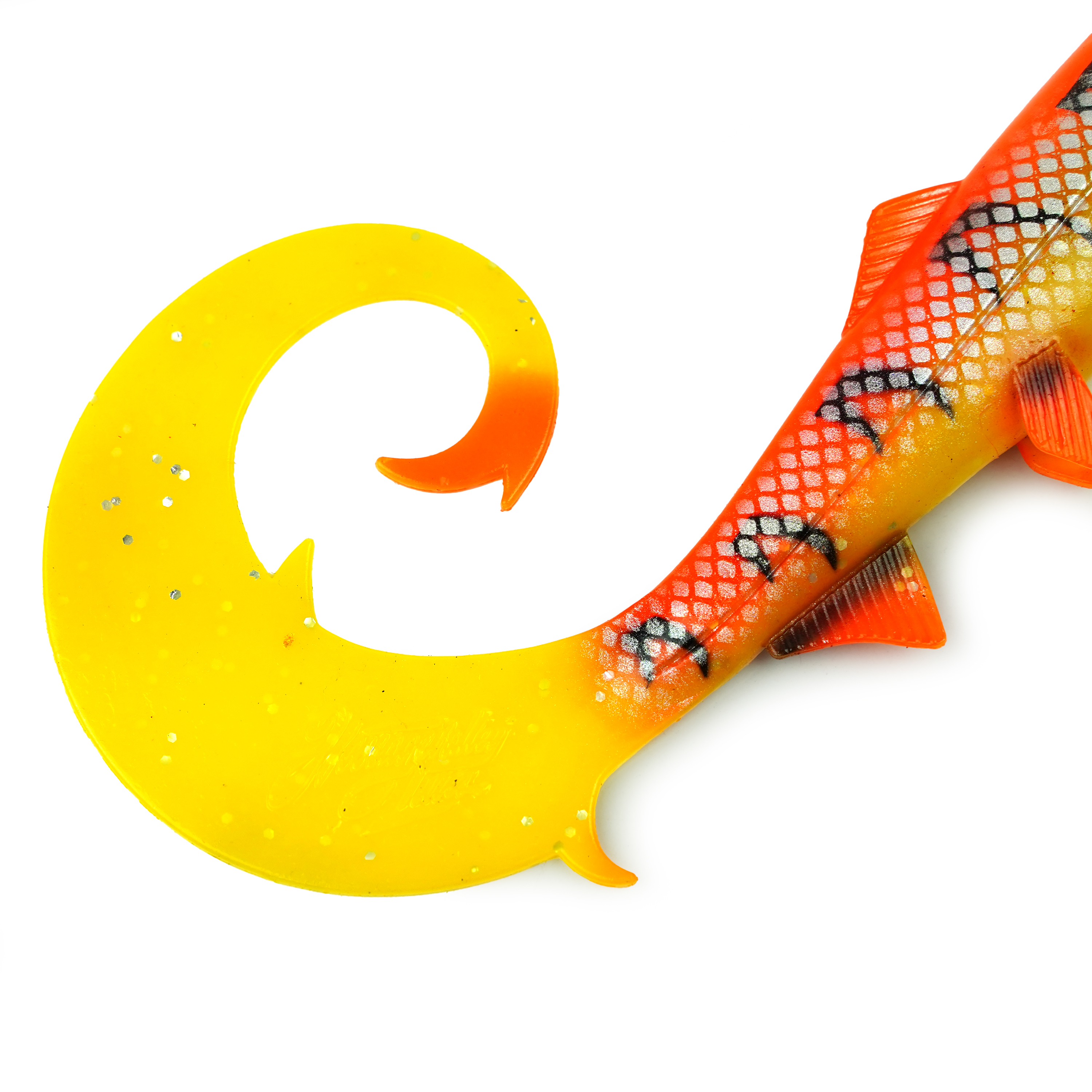 Hostagevalley Curlytail - Flammenfisch - 24cm
