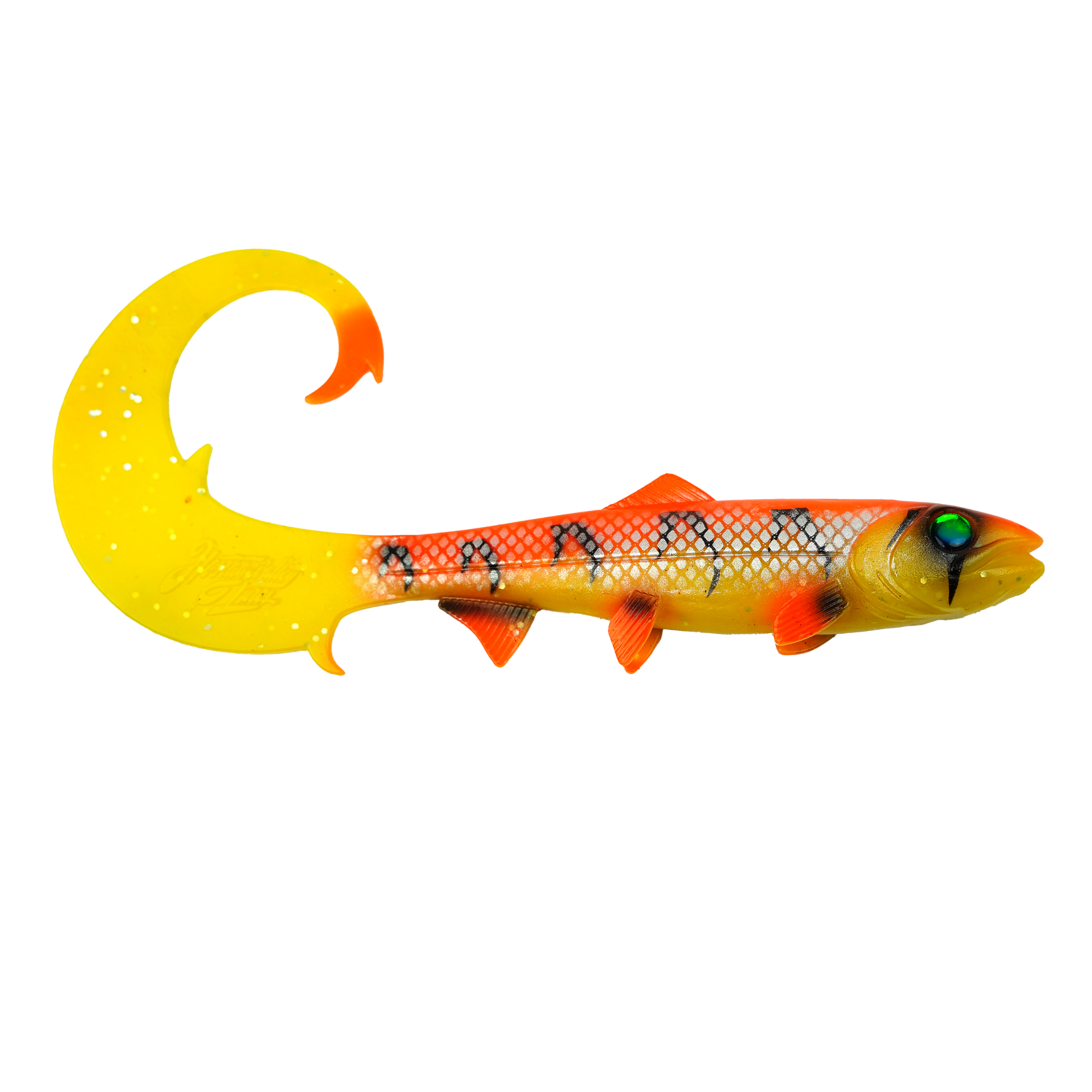 Hostagevalley Curlytail - Flammenfisch - 24cm