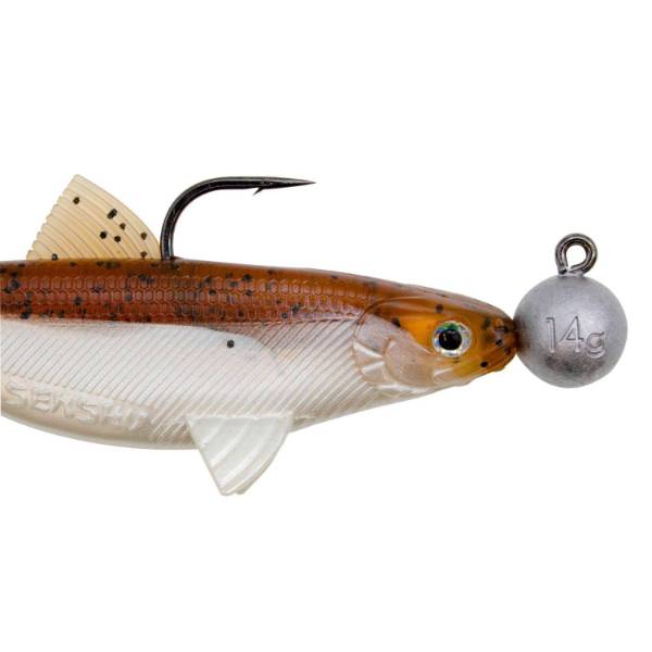 Senshu Real Fin Shad 12 Ready2Catch | Magic Motoroi | 12cm | 25g | 3 Stück