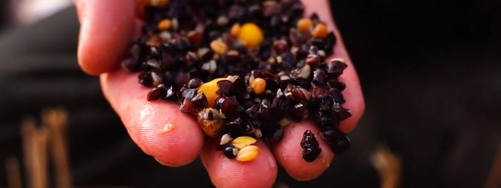 Winterfutter Karpfen