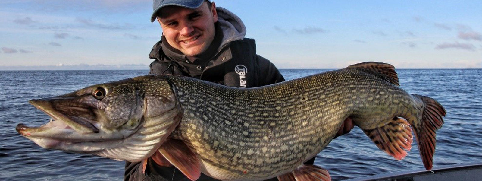 Ein dicker Hecht mit Köderfisch