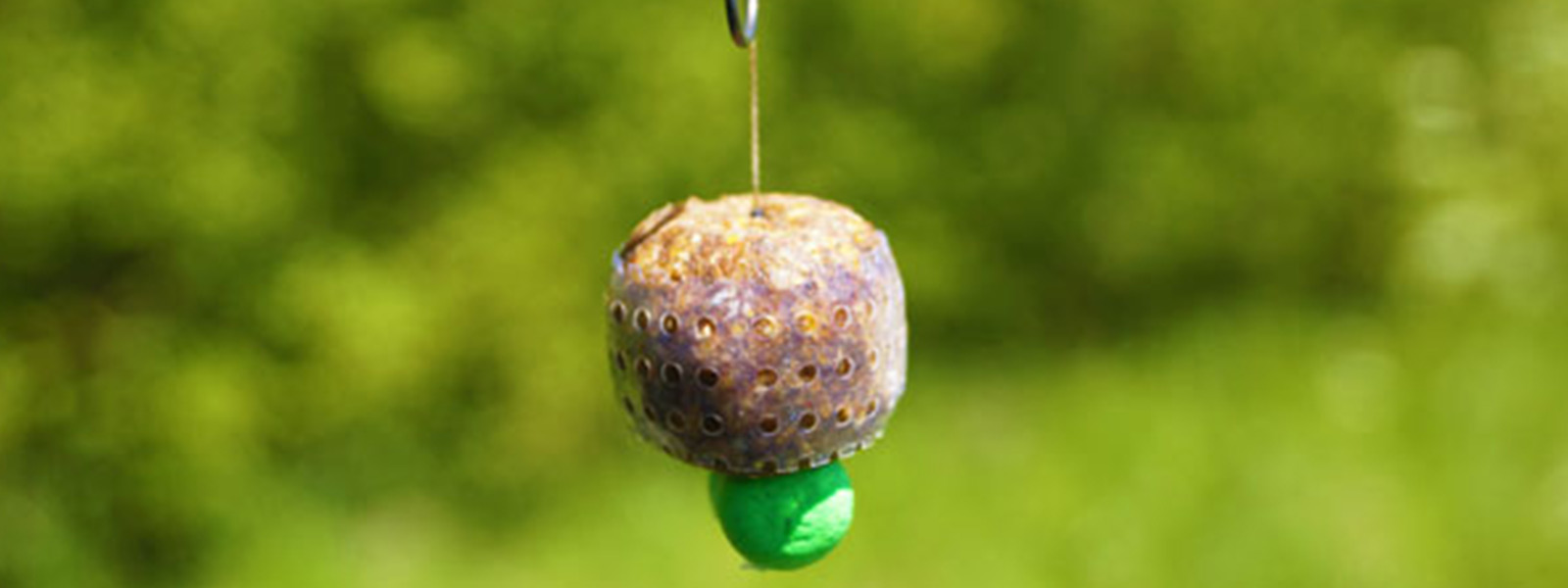 Boilie mit Schutzmesh