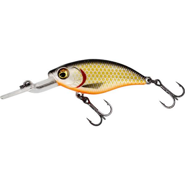 Westin BuzzBite Crankbait | Suspending | Official Roach | 6cm | 10g