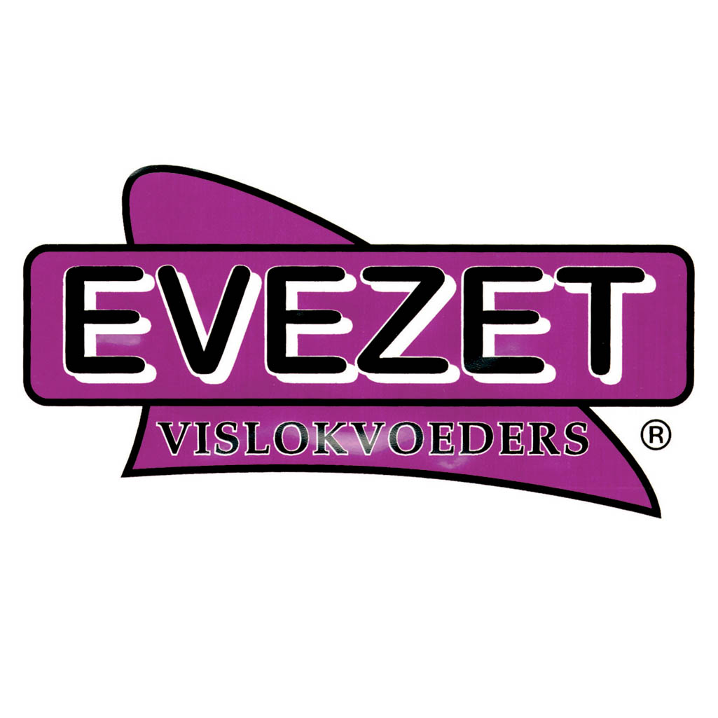 Evezet