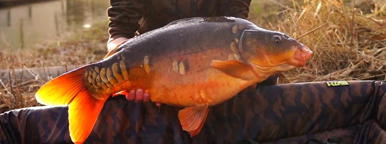 Peter mit Winterkarpfen