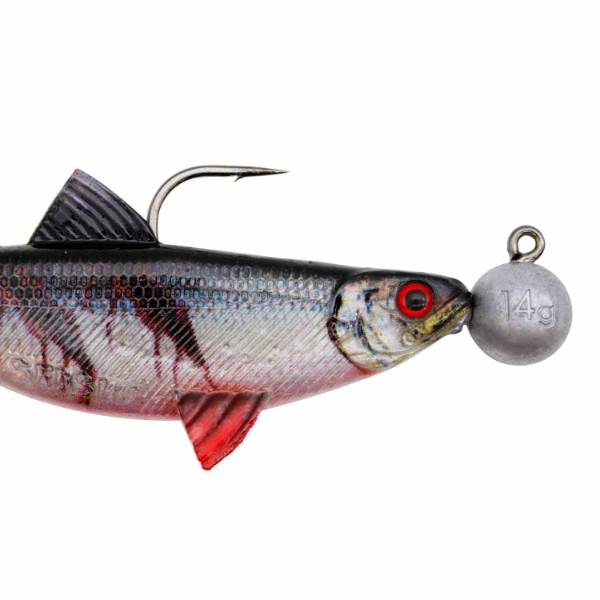Senshu Real Fin Shad 12 Ready2Catch | Blutiger Köderfisch | 12cm | 25g | 3 Stück