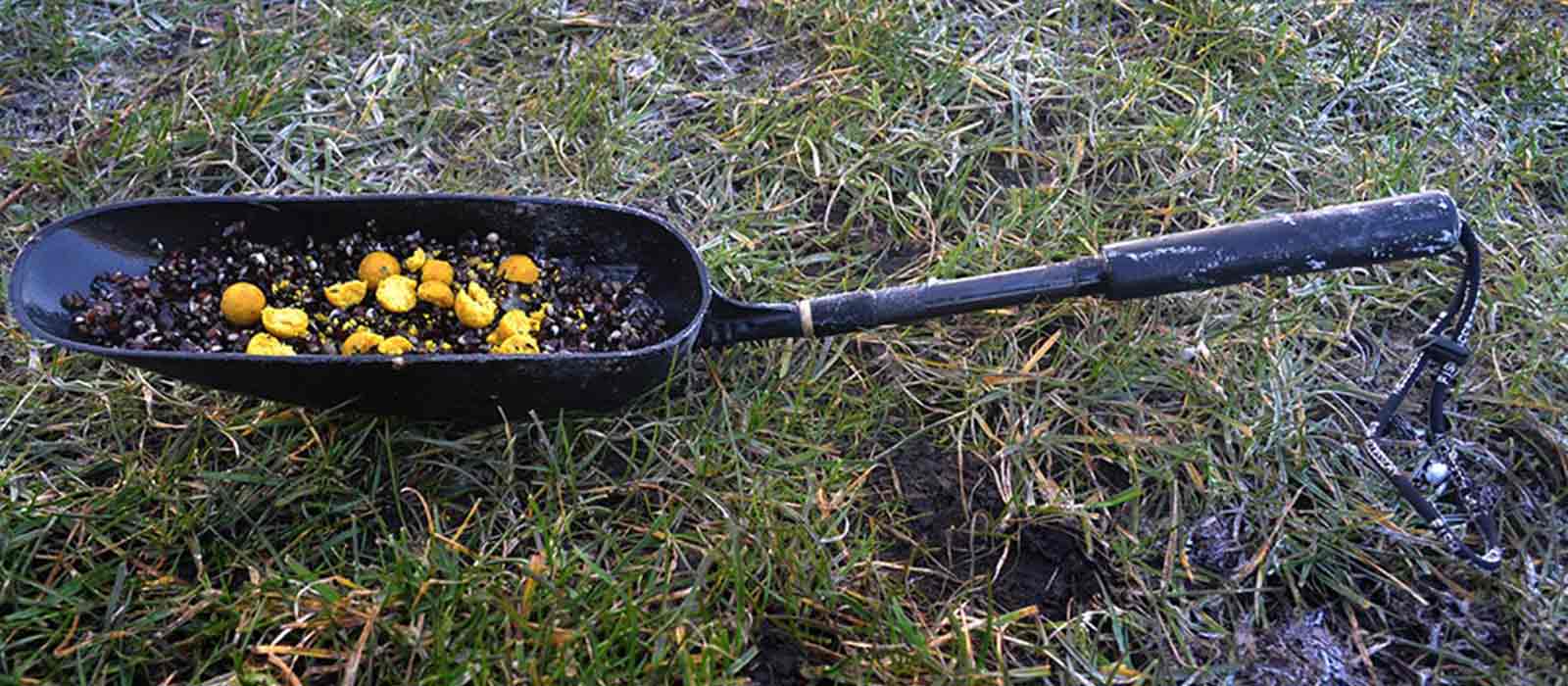 Futterschaufel_Fütterungstipps_Raven