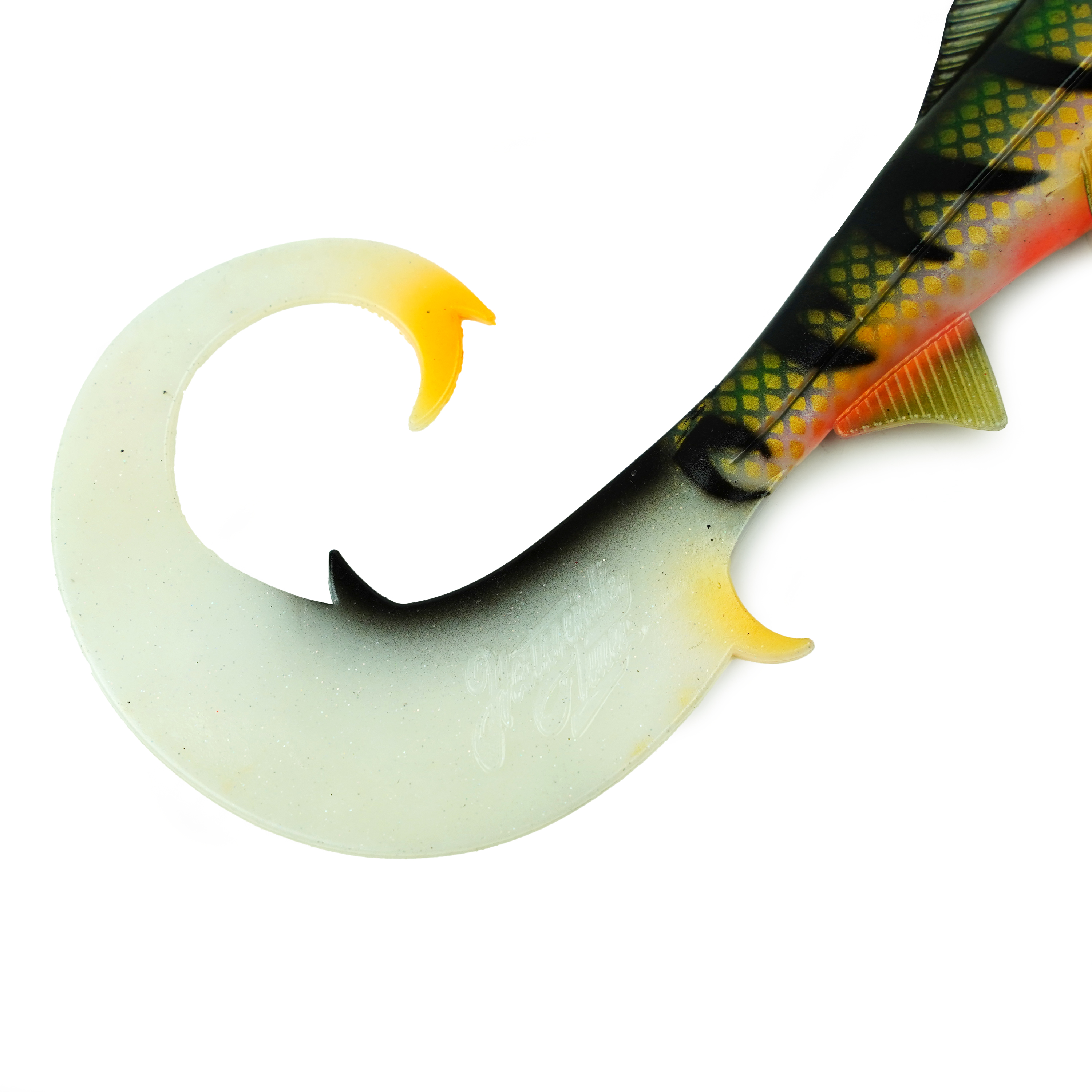 Hostagevalley Curlytail - Purpurbarsch - 24cm