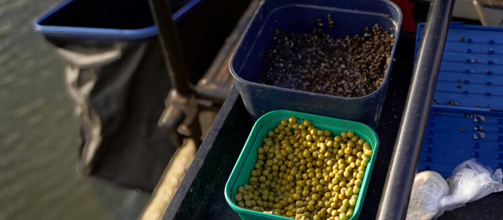 Füttern mit Partikeln, Mais oder Erbsen