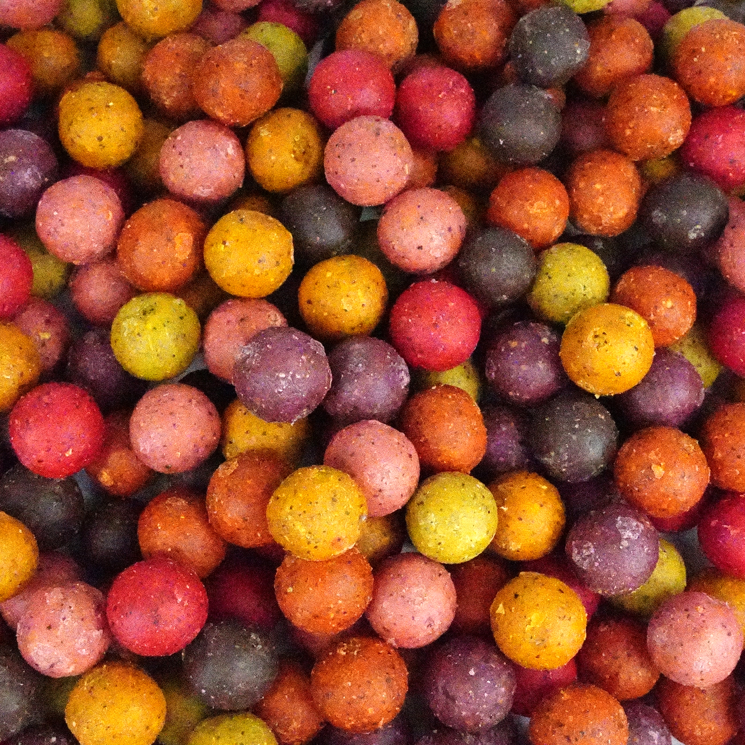 Tasty Baits – Gemischte Boilies – 20 mm – 15 kg – Karpfenköder – Karpfen-Grundfutter – Karpfenangeln