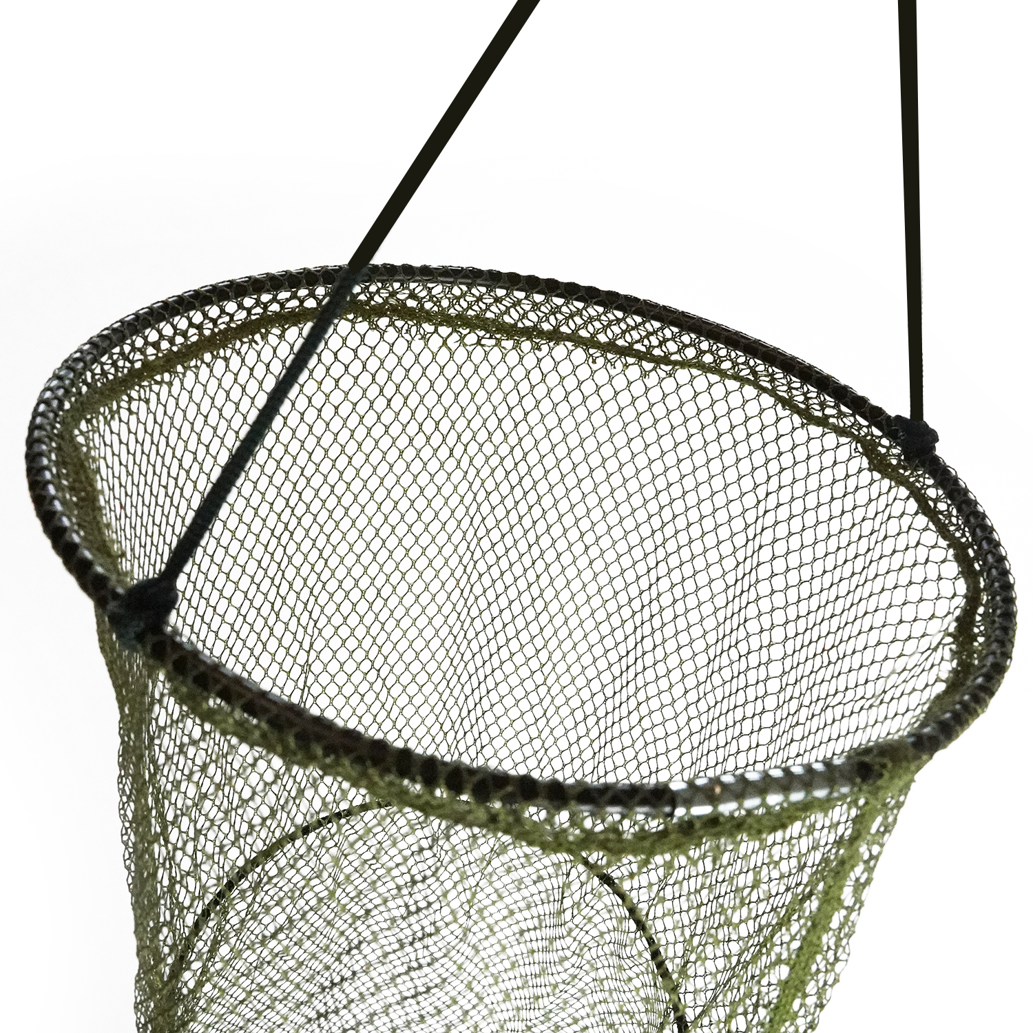 Eurocatch Mini Keepnet - 100x 30 cm - Setzkescher - Fischernetz