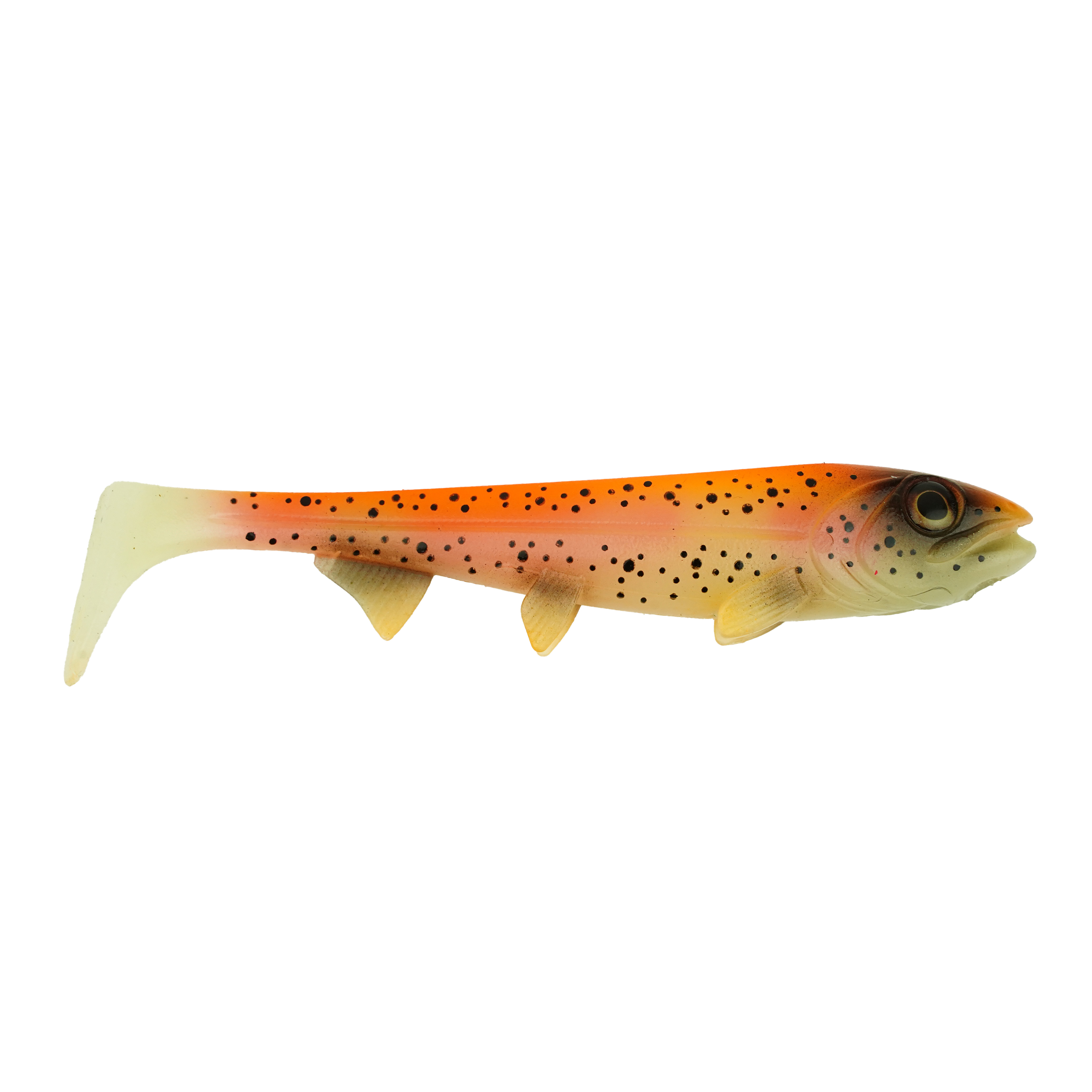 Hostagevalley Shad - Goldforelle - 26cm