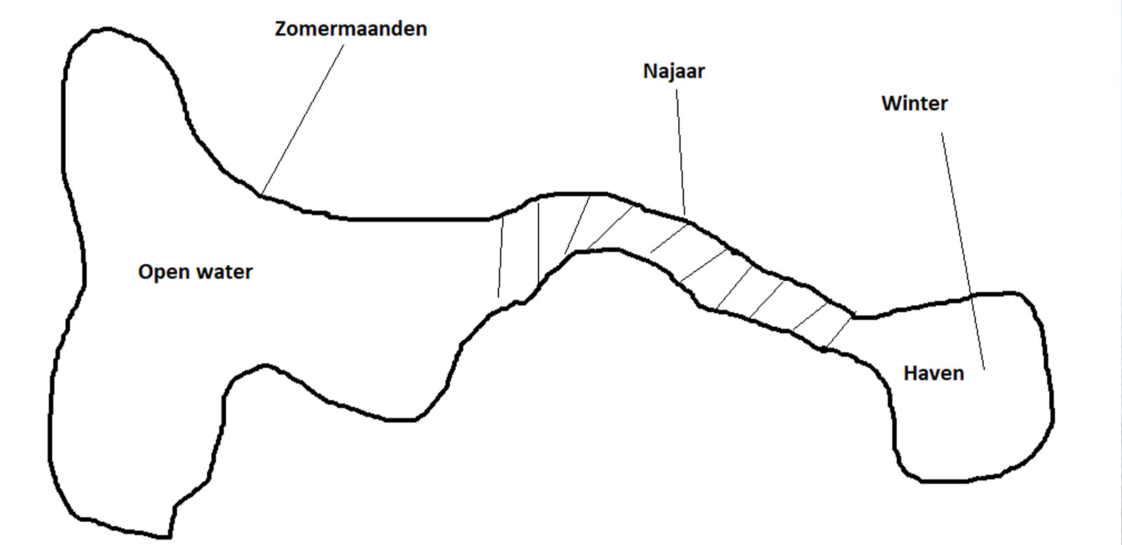 Wo findest du den Hecht je nach Saison