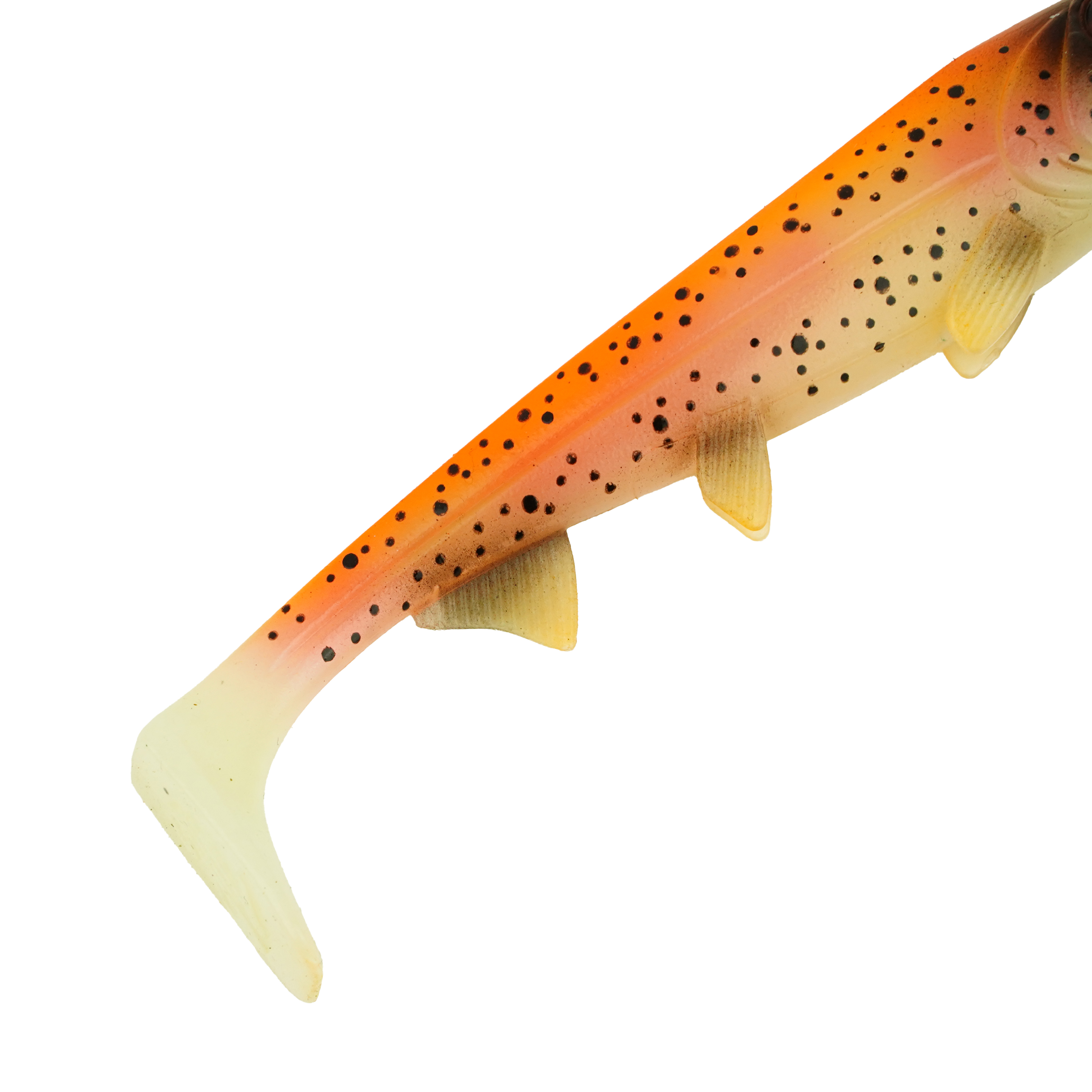Hostagevalley Shad - Goldforelle - 26cm