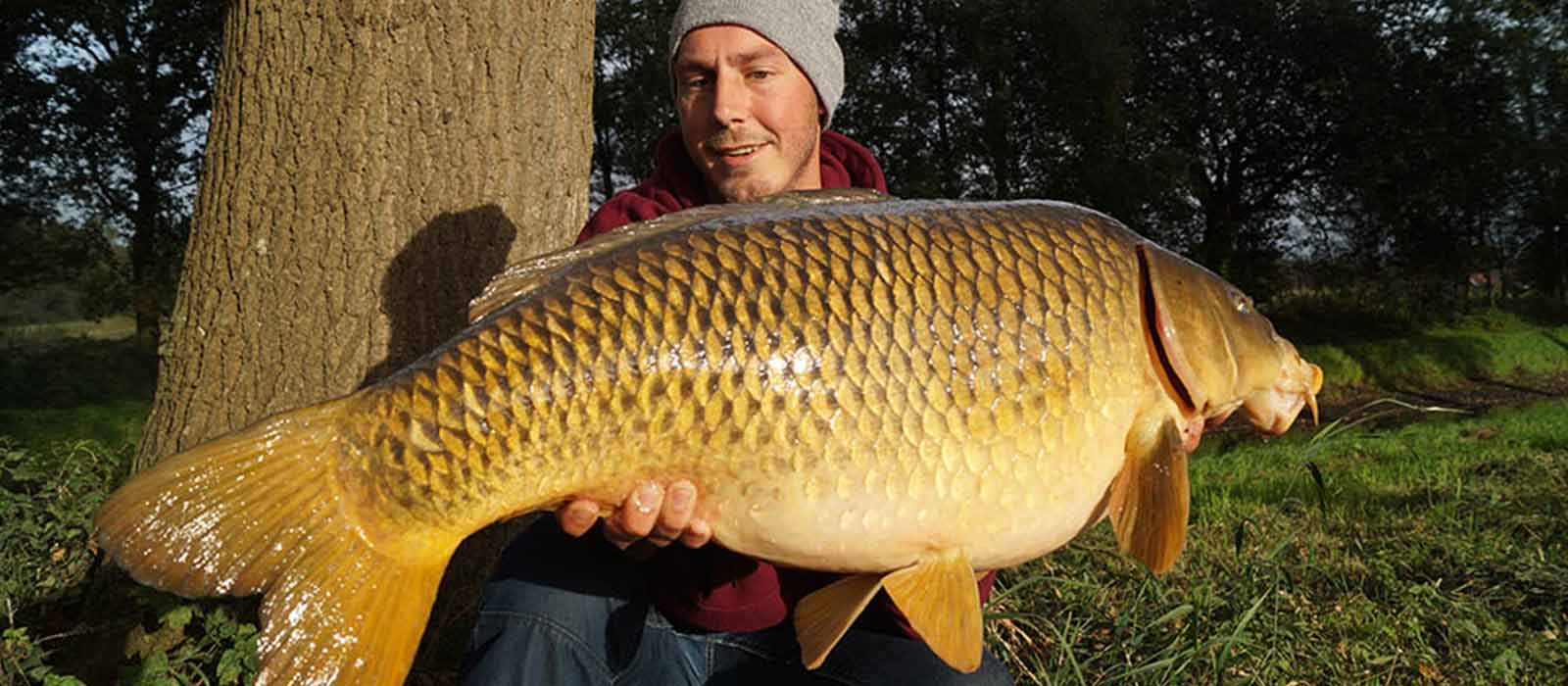 Karpfenangeln in der Nähe vom Haus