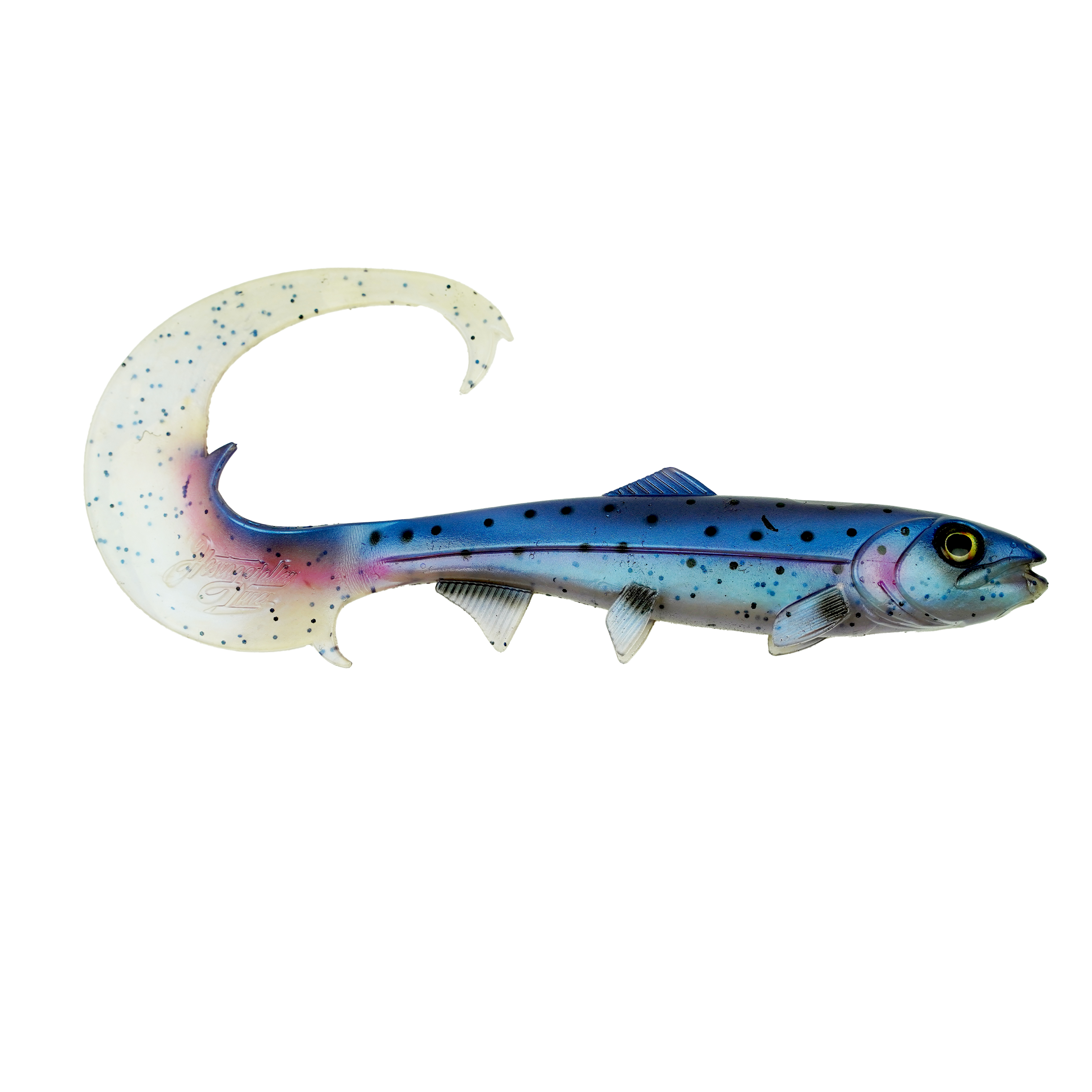 Hostagevalley Curlytail - Magenta Forelle - 24cm