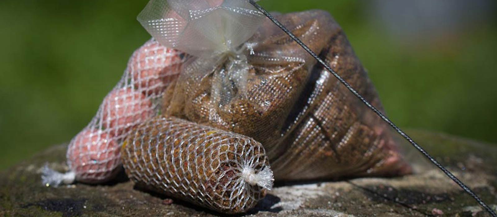 PVA_Fütterungstipps_Raven