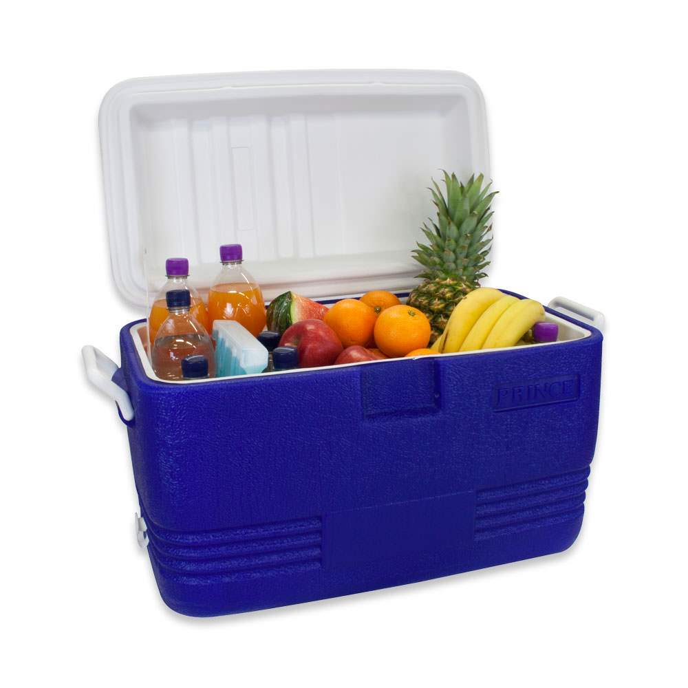 Waterside - Polarcooler Kühlbox - 40 Liter