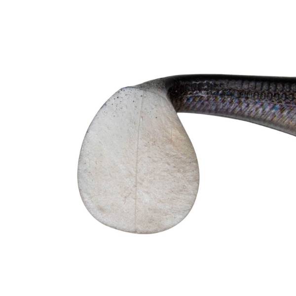 Senshu Real Fin Shad 12 Ready2Catch | Blutiger Köderfisch | 12cm | 25g | 3 Stück