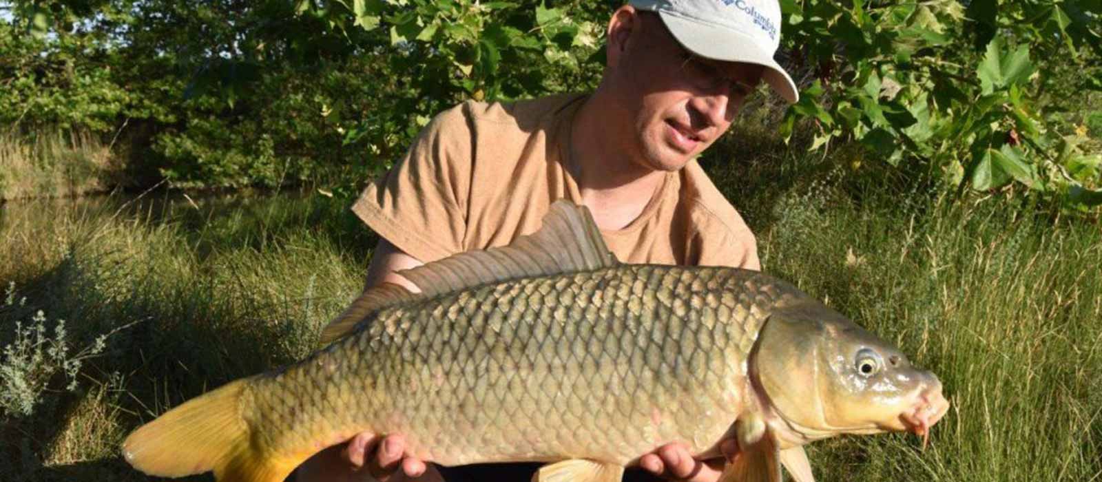 Reiserutenfang Schuppenkarpfen