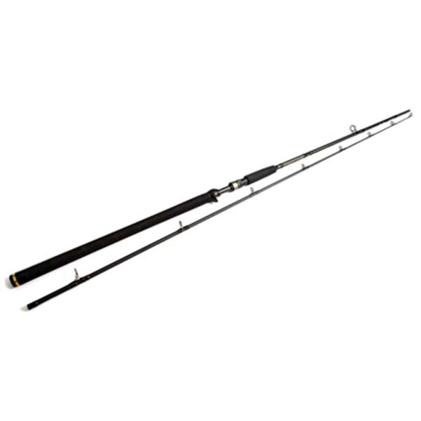 Westin W3 Powercast-T 2nd XH | 248cm | 20-80g | 2-Delig