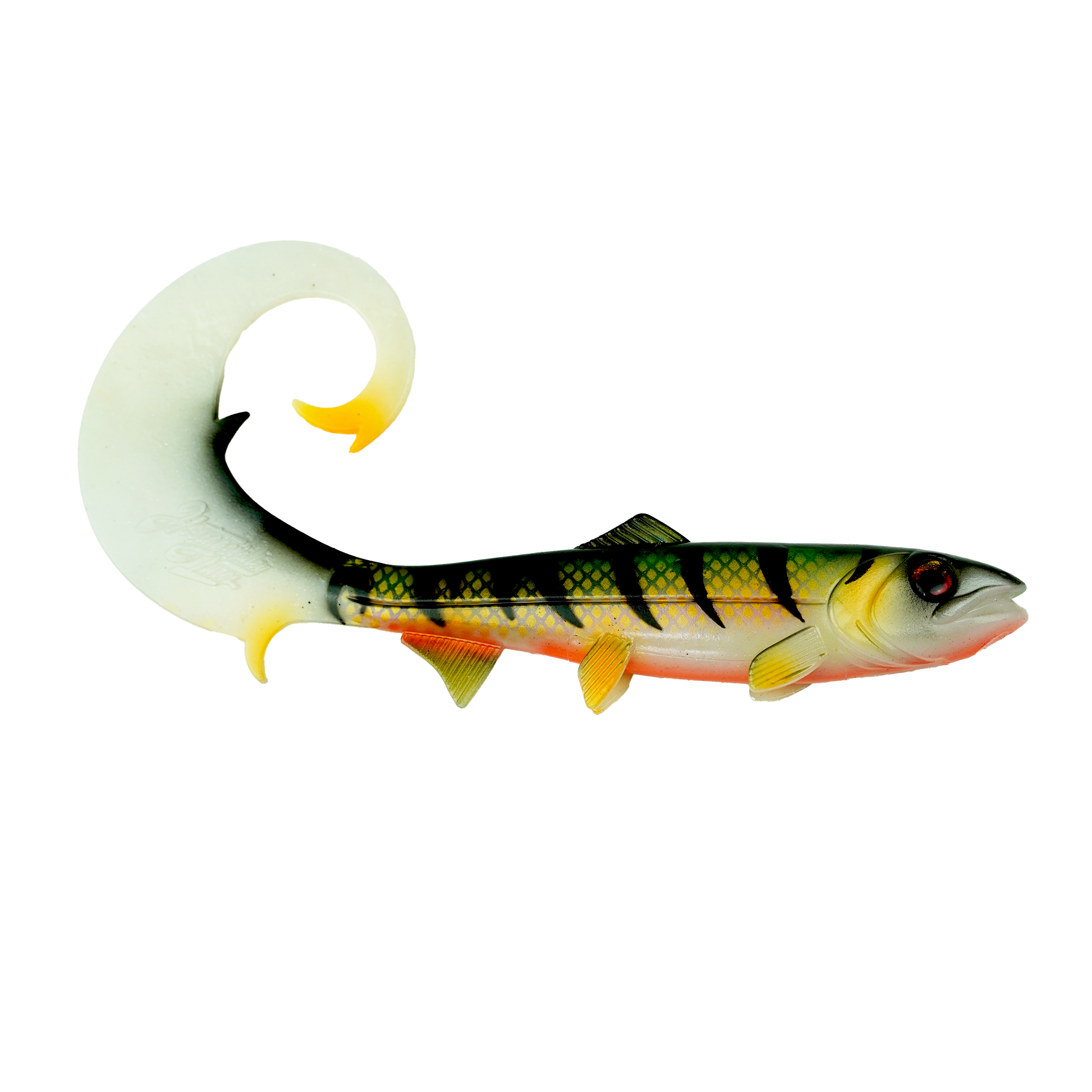 Hostagevalley Curlytail - Purpurbarsch - 24cm