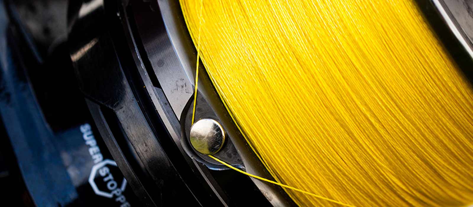 Karpfen_Schnur_Lineclip_Raven