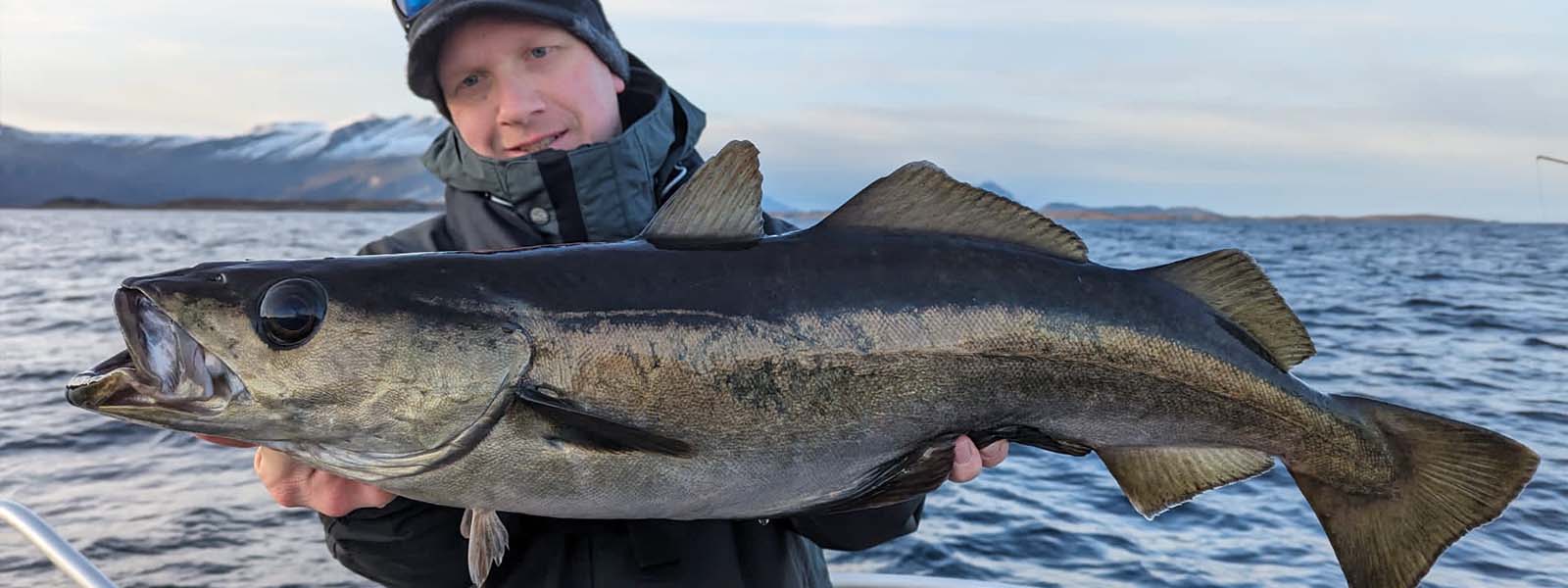 Fang durch Yoni aus Raven Steenwijk
